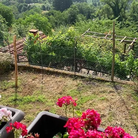 Montagna Lucchese 펜션 *